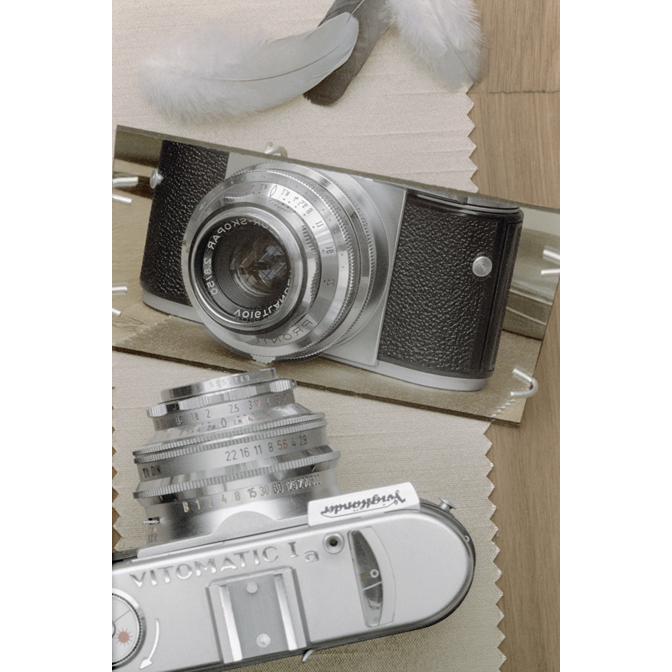 A Voigtländer Vitomatic IA on Pattern 115975 with Feathers